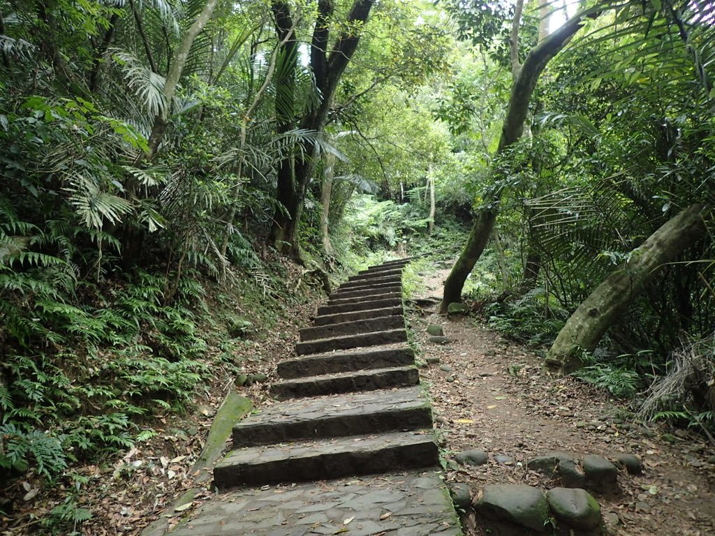 P4272122.JPG - 芎林  飛鳳山  (中坑山)