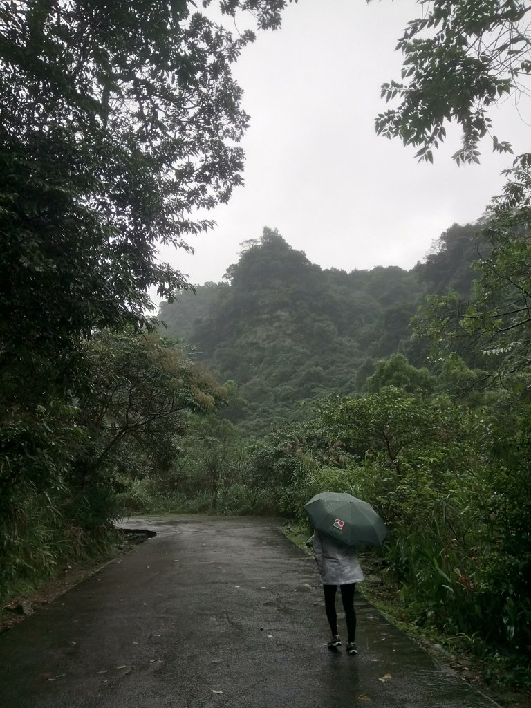 DSC_0160.JPG - 汐止  江子寮絕壁步道