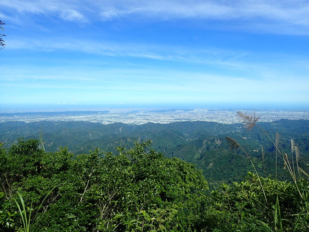 P6284842.JPG - 國姓  大橫屏山