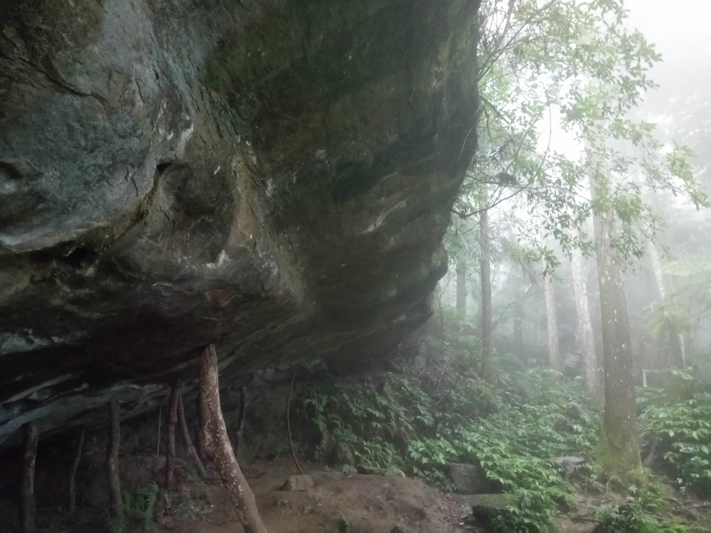 DSC_2889.JPG - 南庄  向天湖山  光天高山