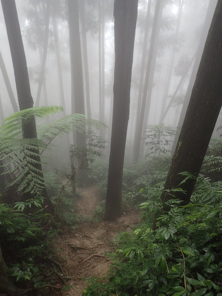 P9250188.JPG - 南庄  向天湖山  光天高山