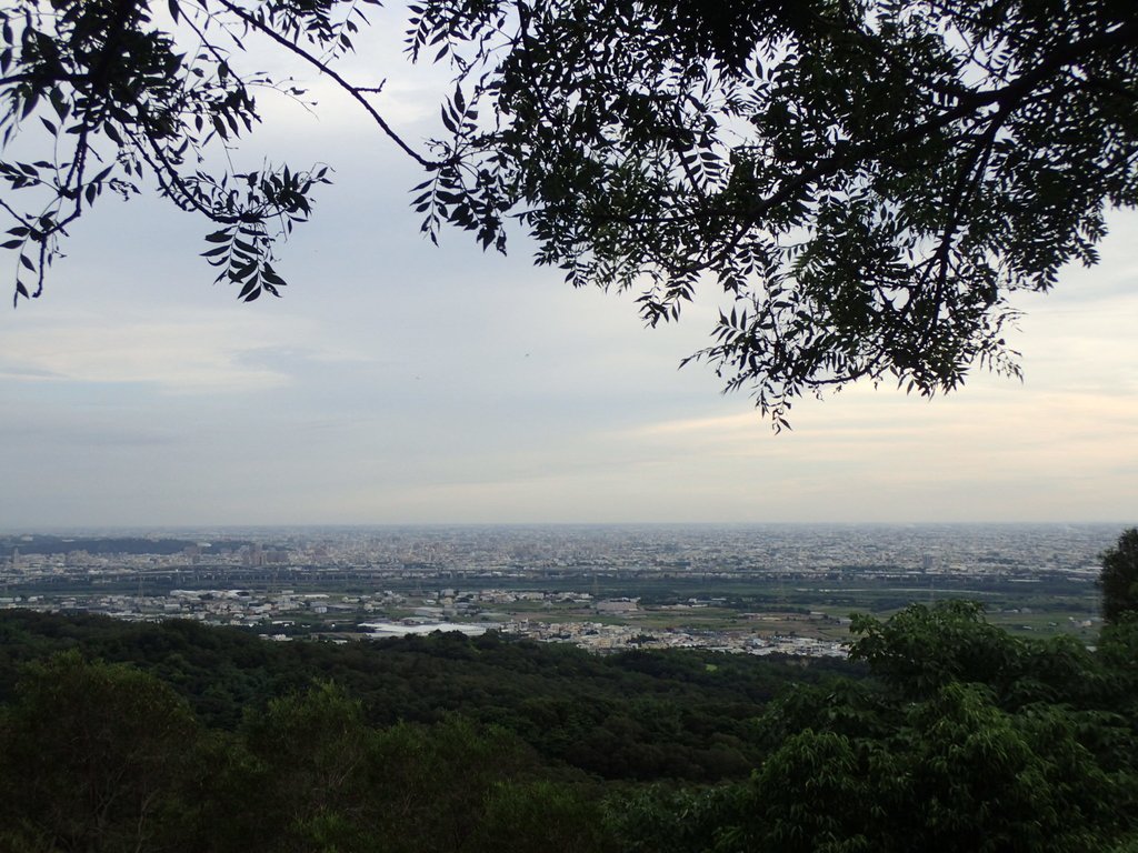 P7105396.JPG - 大肚  萬里長城登山步道