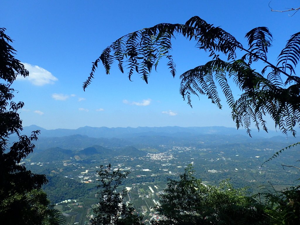 PA040391.JPG - 魚池  過坑山登山步道