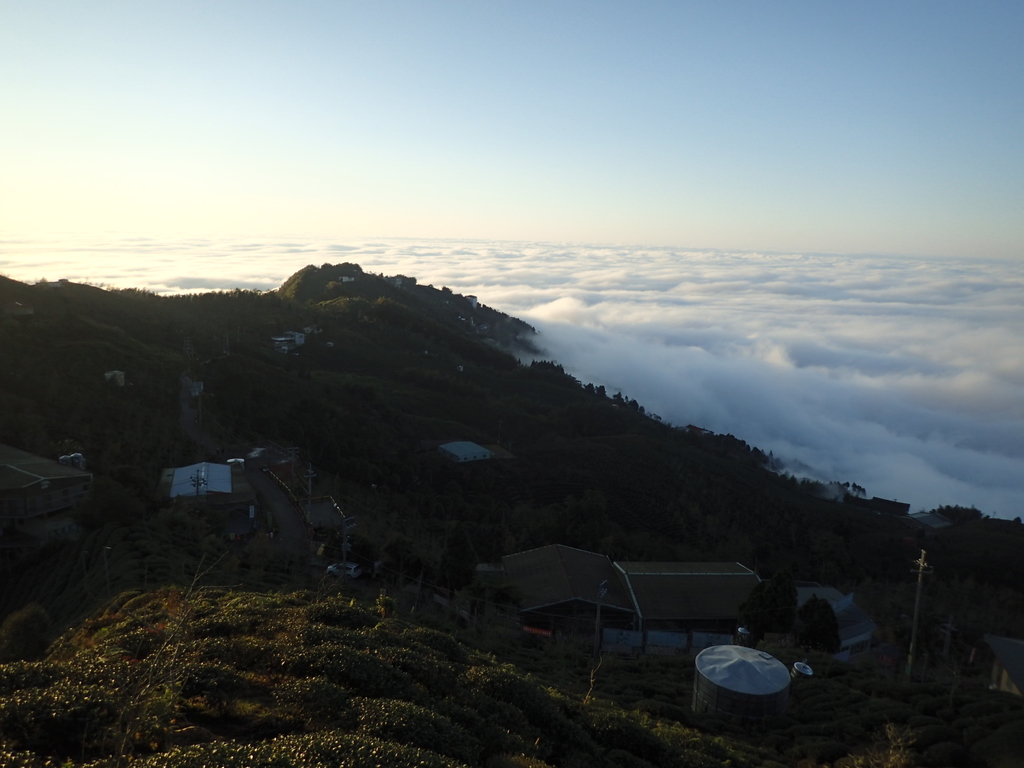 P1076403.JPG - 鹿谷  大崙山  觀霧亭之  暮光