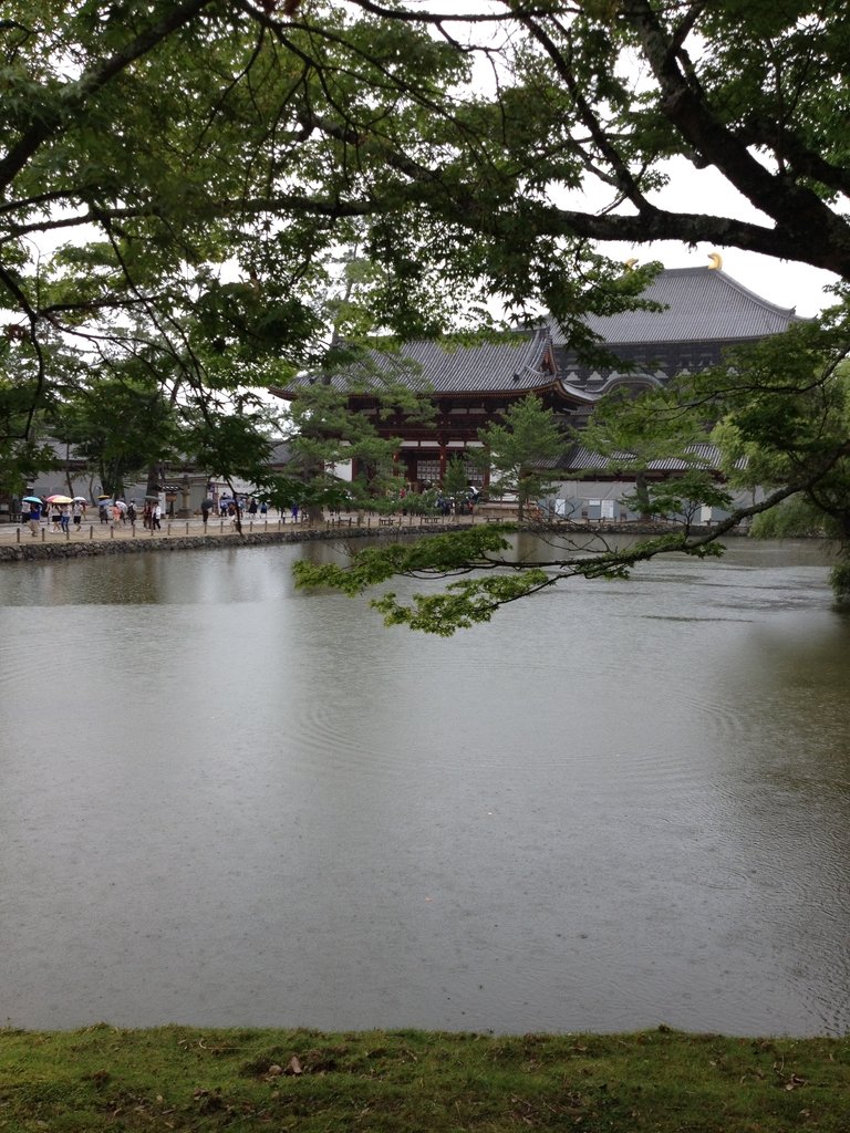 IMG_2590.JPG - 奈良  東大寺