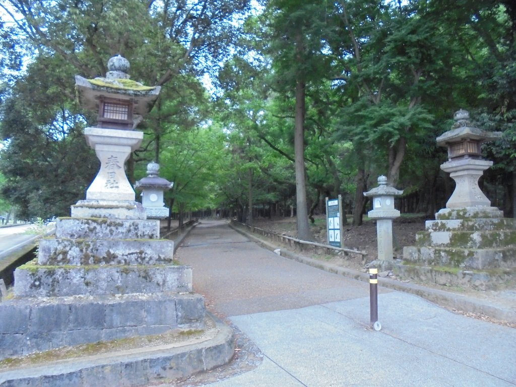 DSC03905.JPG - 奈良  冰室神社