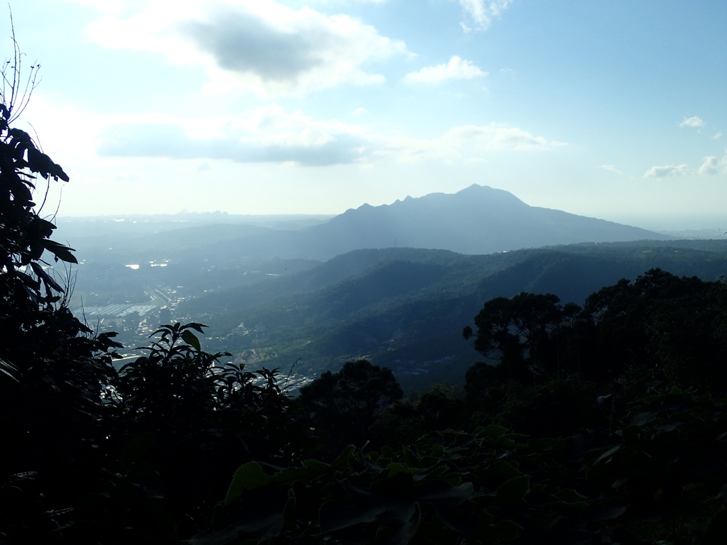 PB247282.JPG - 北投  中正山登山步道 01