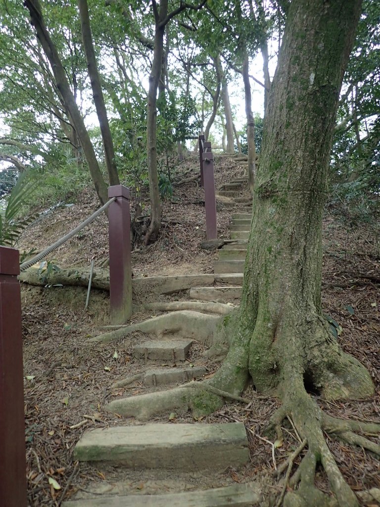 P2167990.JPG - 三峽  鳶尾山登山步道