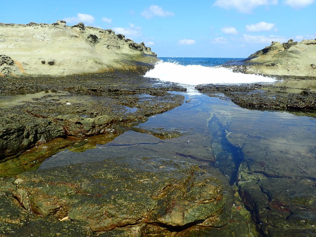 PA115047.JPG - 東北角海岸岩石之美  (03)