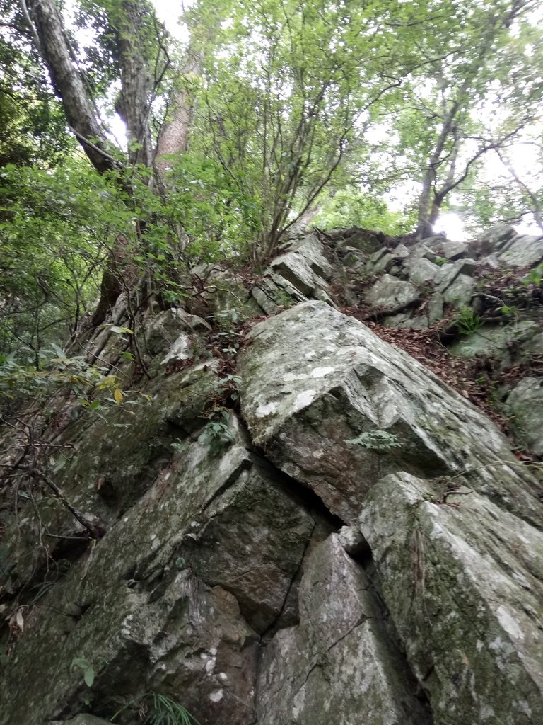 DSC_6452.JPG - 谷關七雄之  波津加山