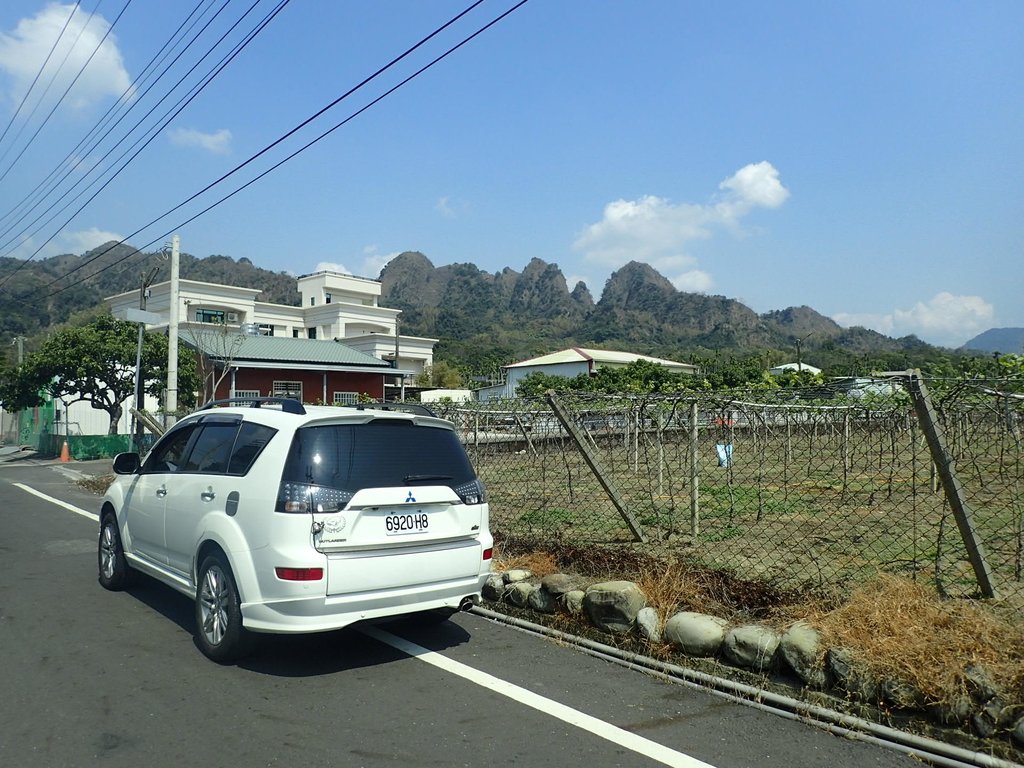 P3016038.JPG - 草屯平林  九九峰森林步道