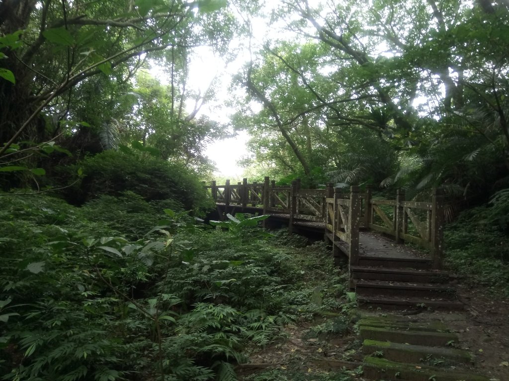 DSC_6032.JPG - 深坑  土庫岳登山步道  (01)