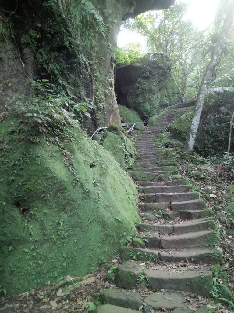 DSC_2170.JPG - 再訪---  平溪  孝子山登山步道