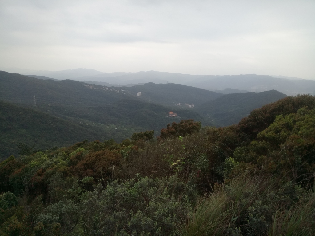 DSC_7030.JPG - 汐止  金面山(金明山)  稜線步道