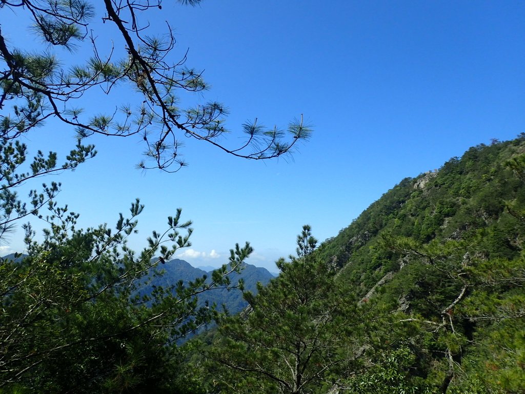 P3167250.JPG - 谷關  屋東縱走