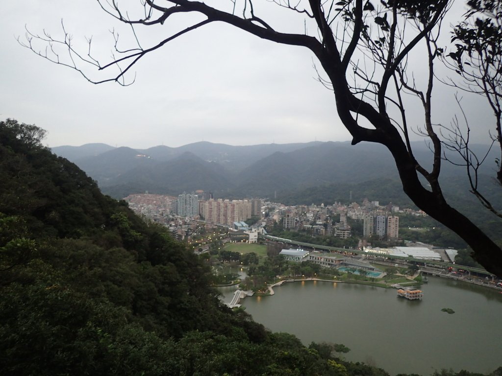 P3116951.JPG - 內湖  白鷺鷥山親山步道