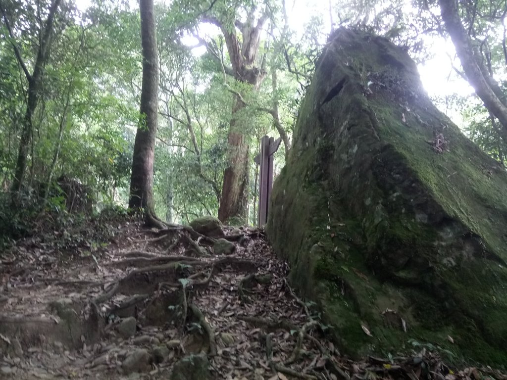 DSC_1046.JPG - 新竹  五指山登山步道