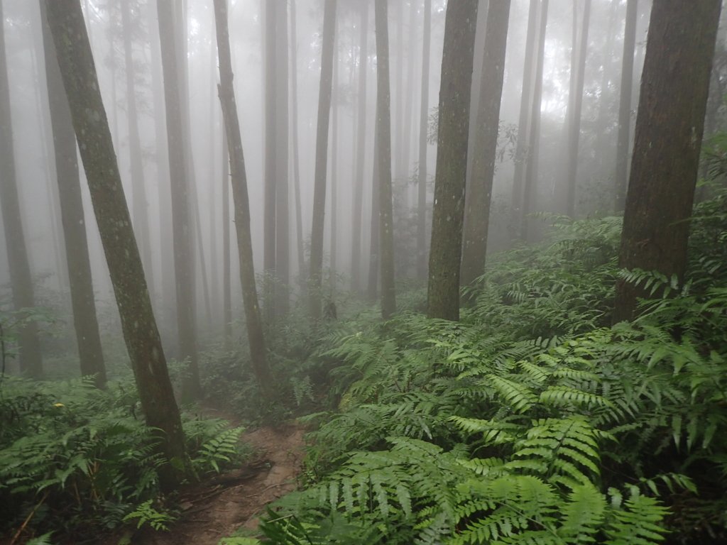 P9250202.JPG - 南庄  向天湖山  光天高山