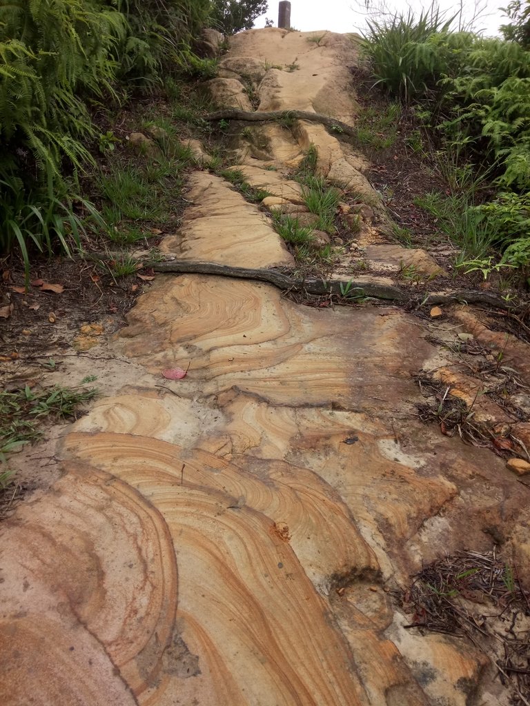 DSC_2796.JPG - 汐止  翠湖  內溝山  老鷲尖