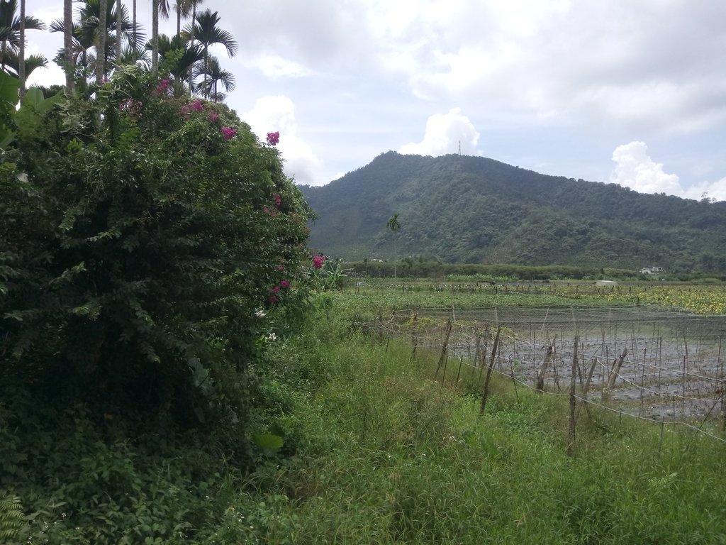 DSC_0249.JPG - 魚池  頭社  後尖山步道