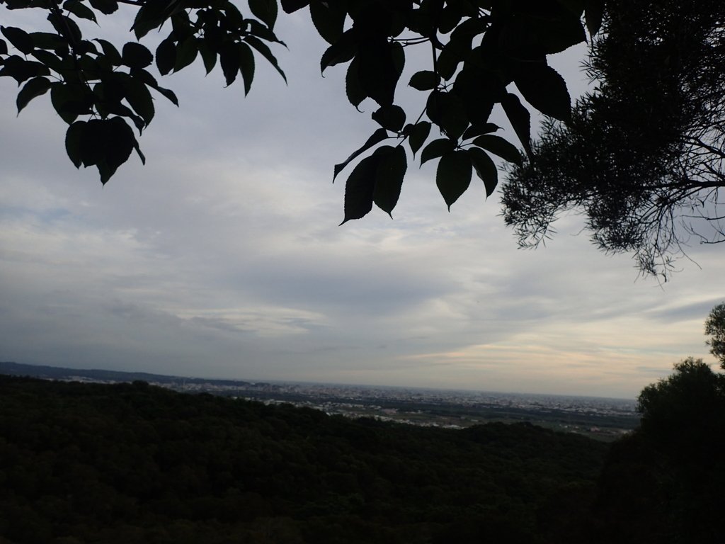 P7105399.JPG - 大肚  萬里長城登山步道