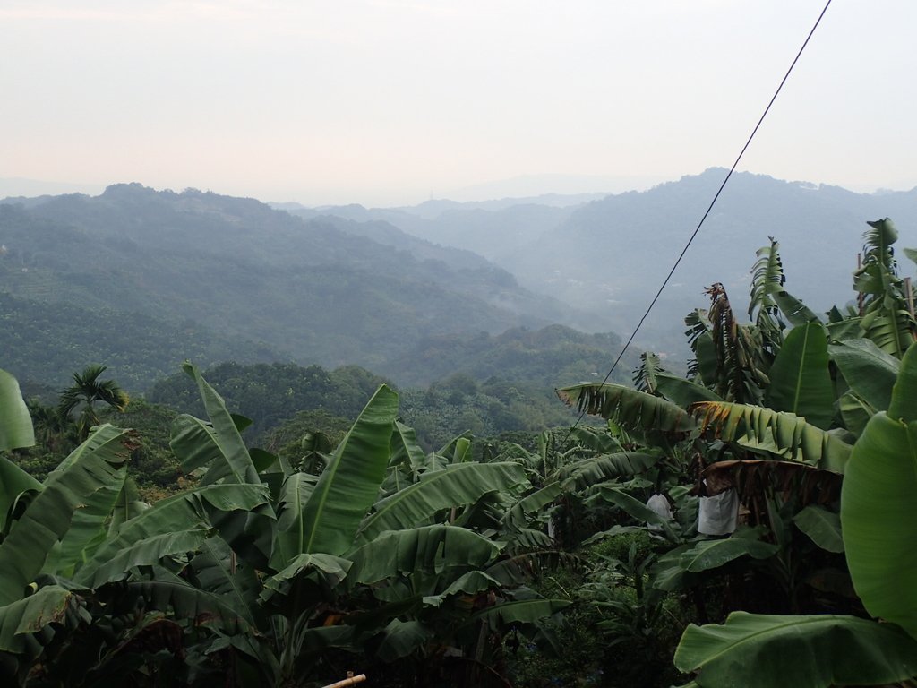 PA171428.JPG - 鹿谷  麒麟潭之  雨中即景