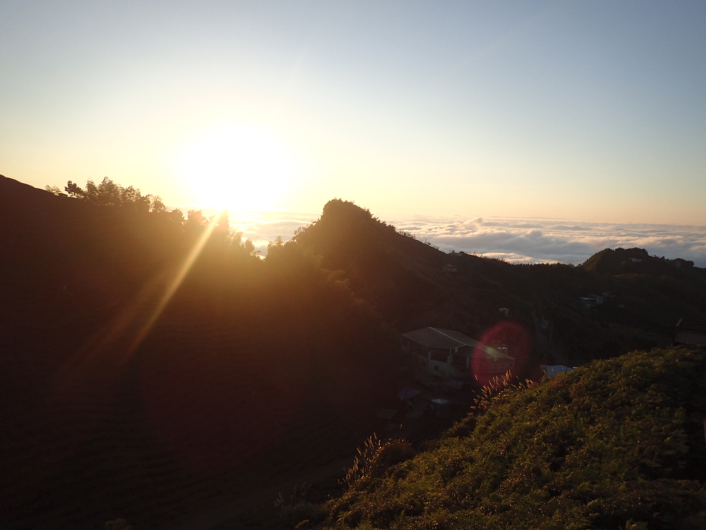 P1076423.JPG - 鹿谷  大崙山  觀霧亭之  暮光