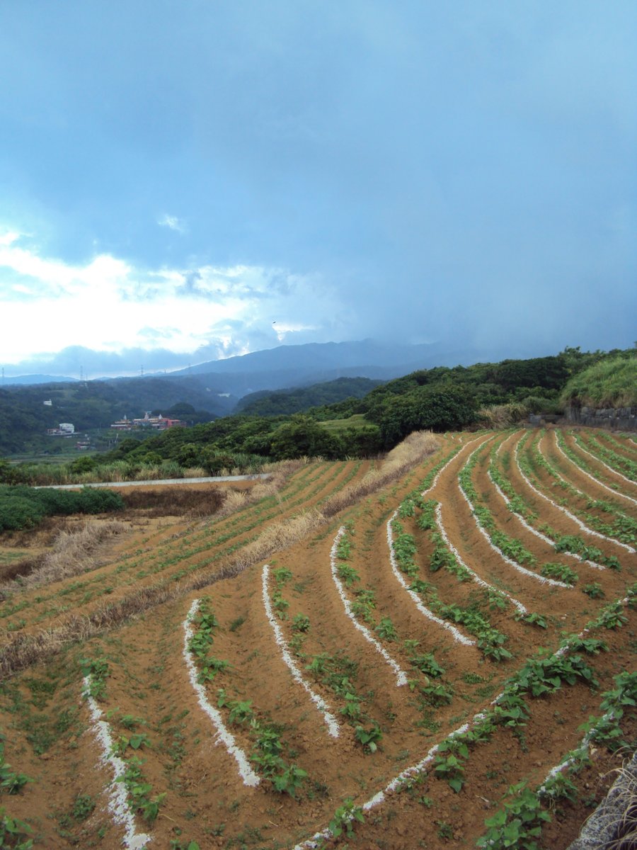 DSC09087.JPG - 石門  小坑田野之美