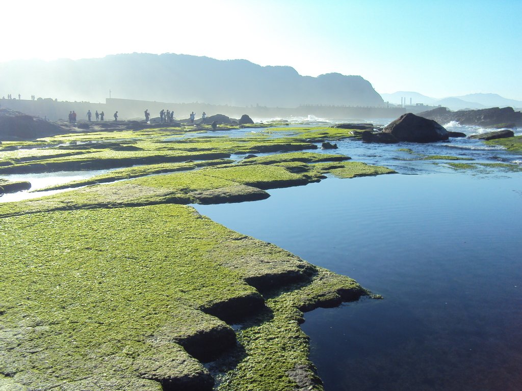 DSC06603.JPG - 八斗子  大坪海岸