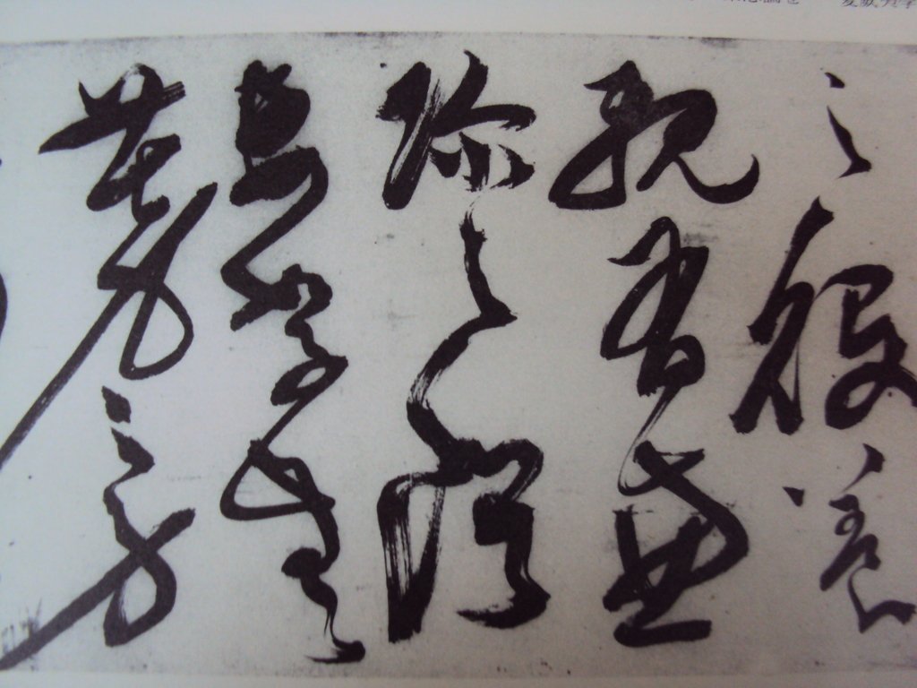 DSC00246.JPG - 陳淳的草書作品