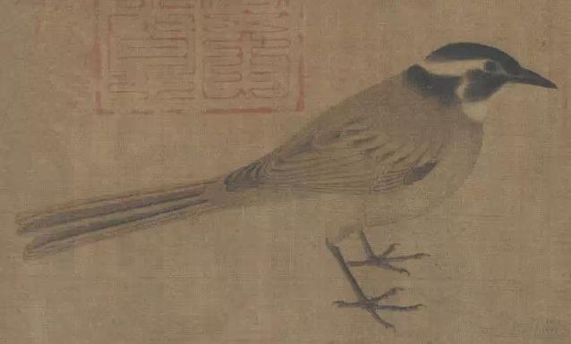 1qo900010p955qr5n851.jpg - 黃筌  寫生禽鳥圖