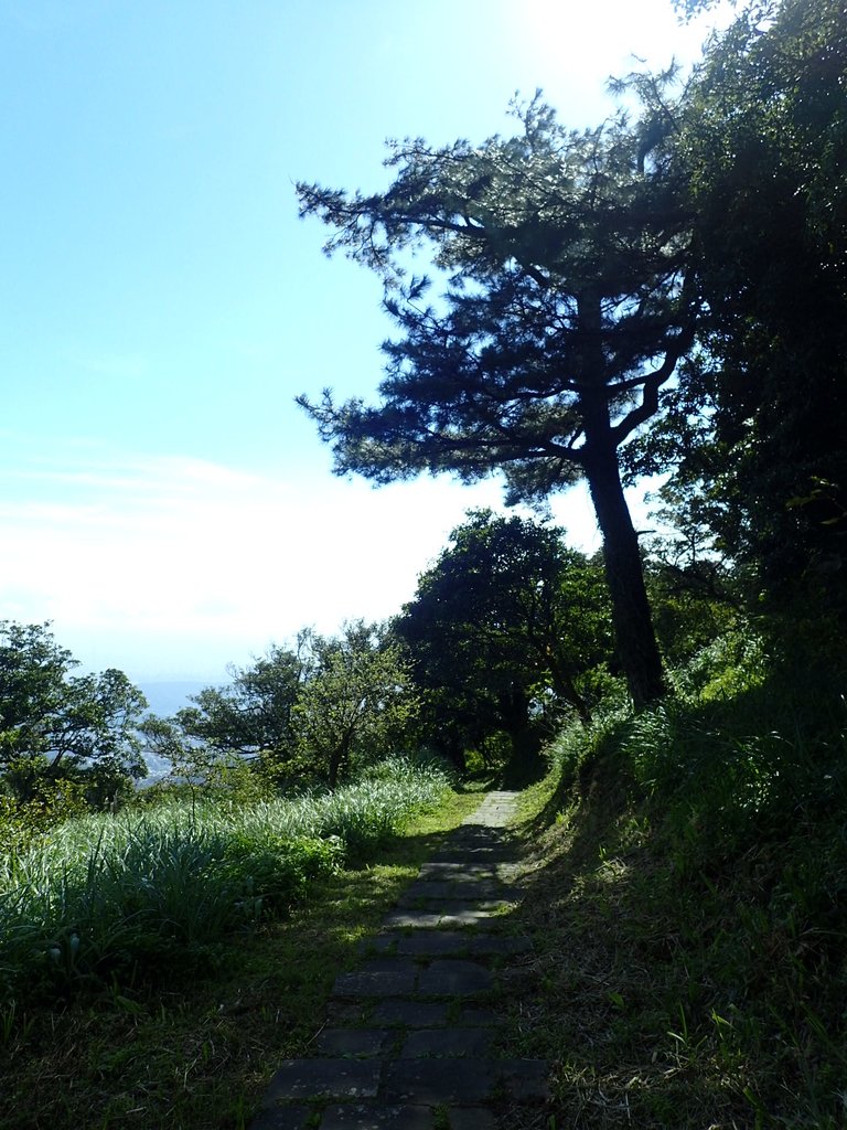 PB247180.JPG - 北投  中正山登山步道  02