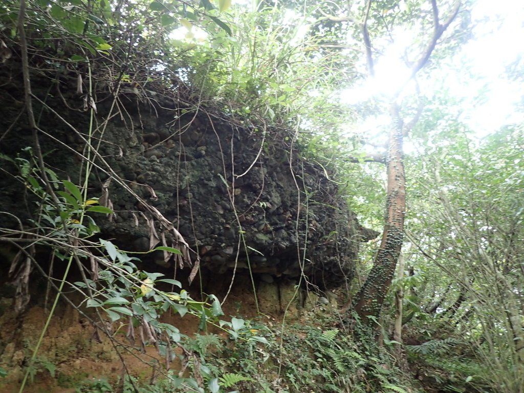 P4143505.JPG - 基隆  牛稠嶺砲台探勘