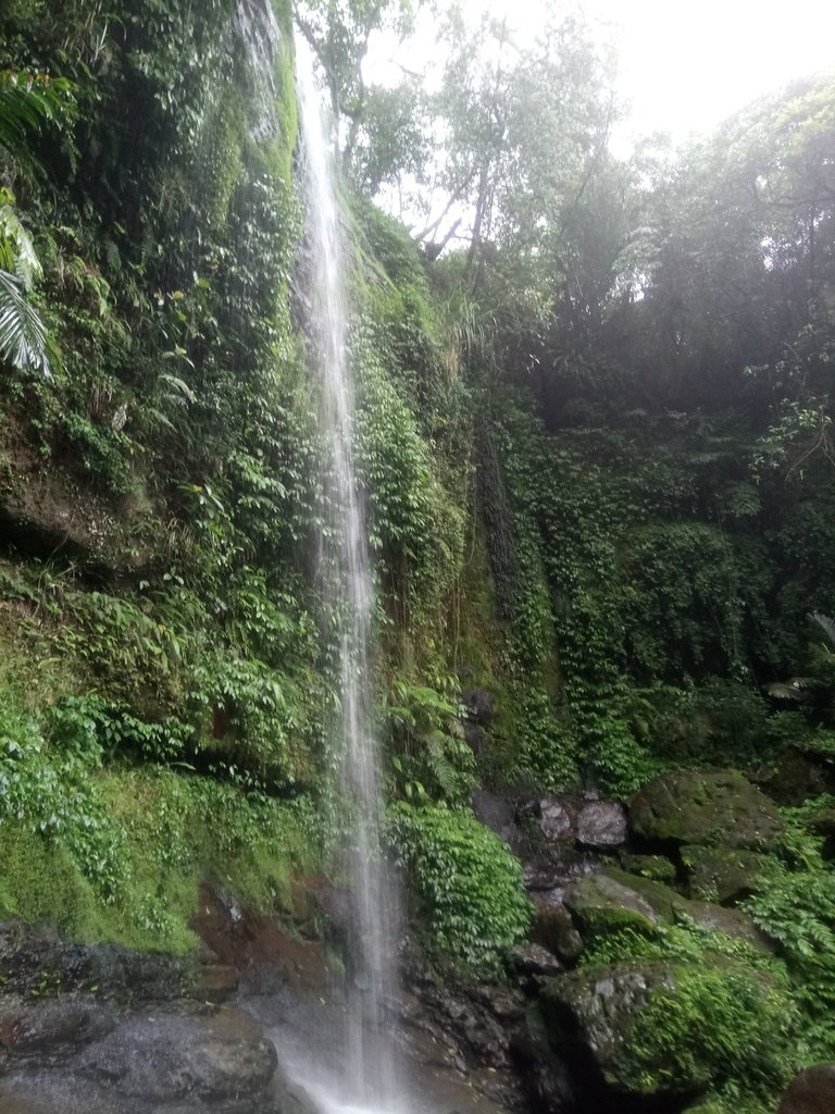 DSC_8447.JPG - 深坑  炮子崙登山步道