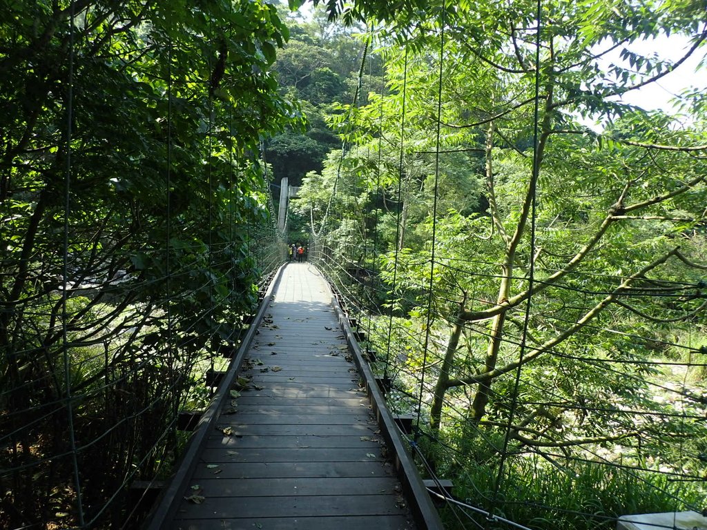 P5117135.JPG - 大坑四號步道  頭嵙山