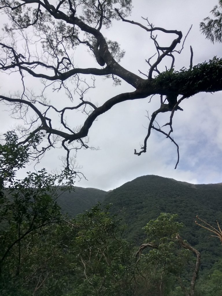 DSC_2788.JPG - 礁溪  聖母登山步道  (抹茶山)