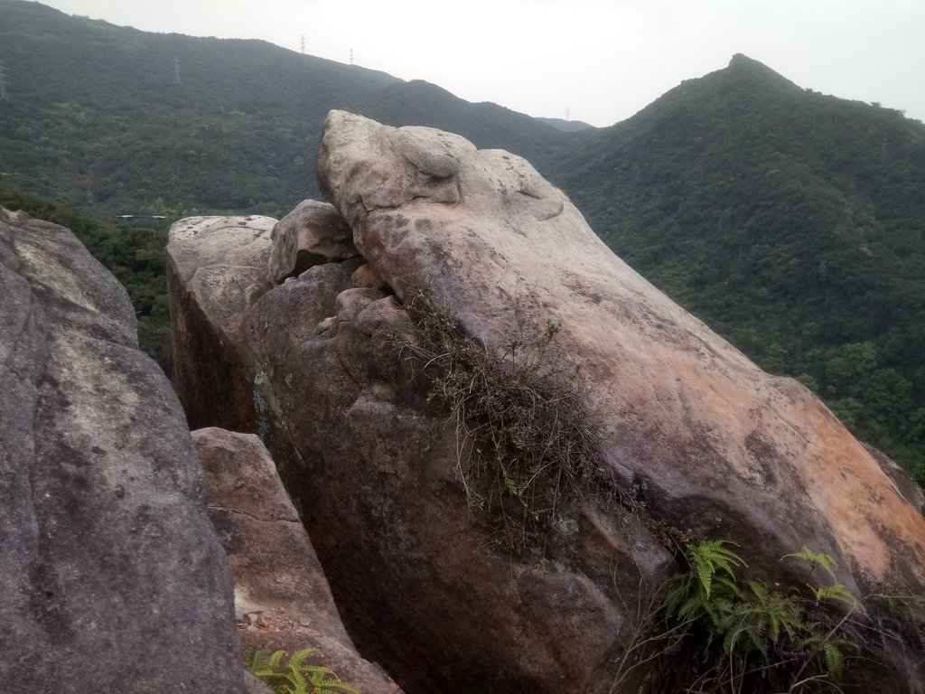 DSC_7034.JPG - 汐止  金面山(金明山)  稜線步道