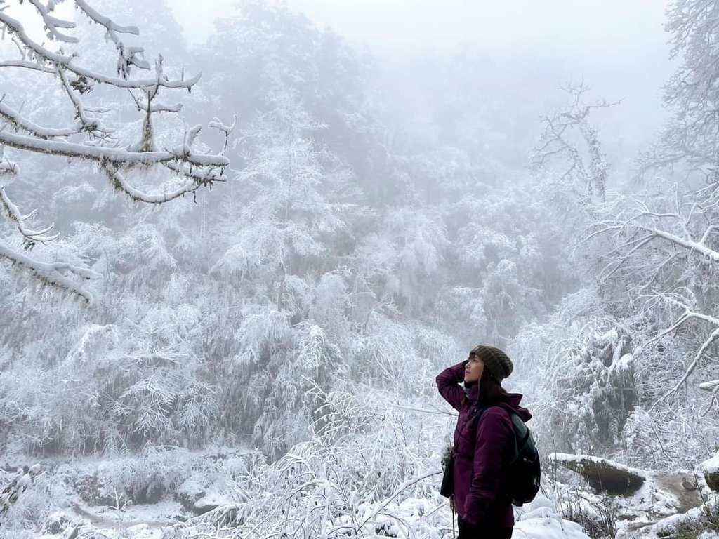 FB_IMG_1610253045625.jpg - 2021年之  初雪印象