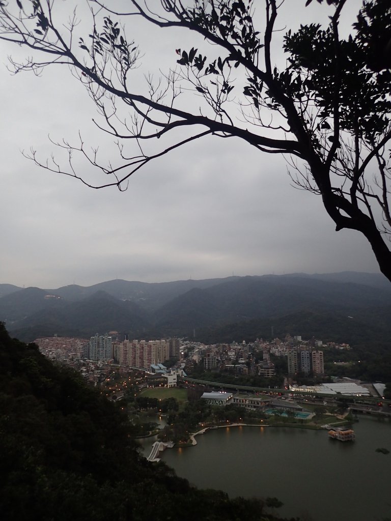 P3116952.JPG - 內湖  白鷺鷥山親山步道