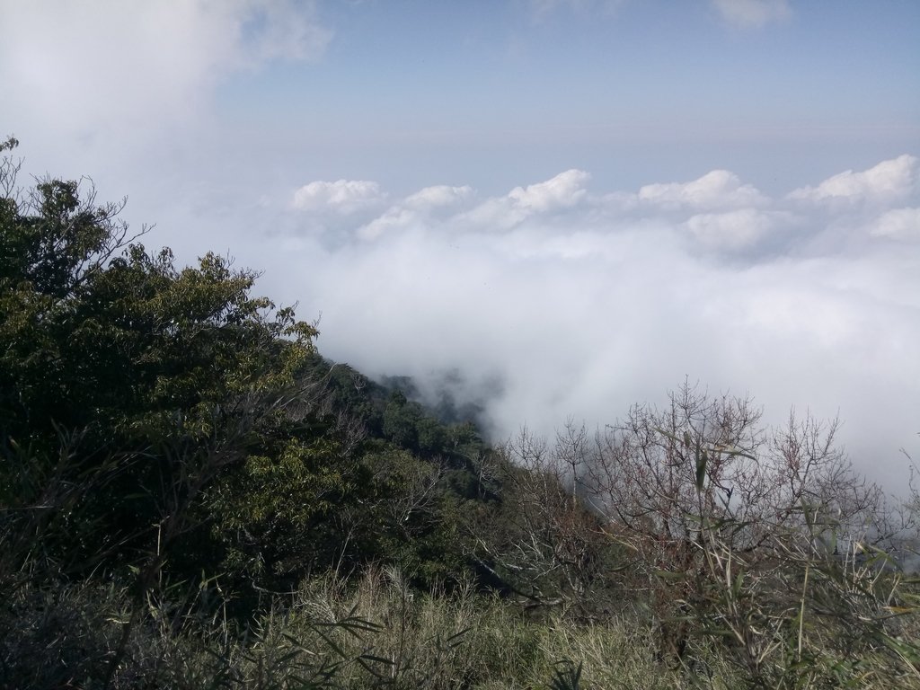 DSC_3683.JPG - 南庄  加里山