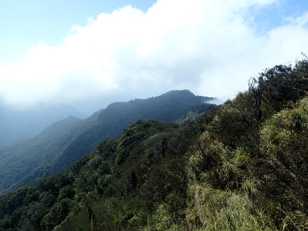 P2034869.JPG - 南庄  加里山