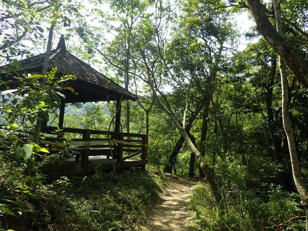 P4161404.JPG - 霧峰  青桐林生態園區