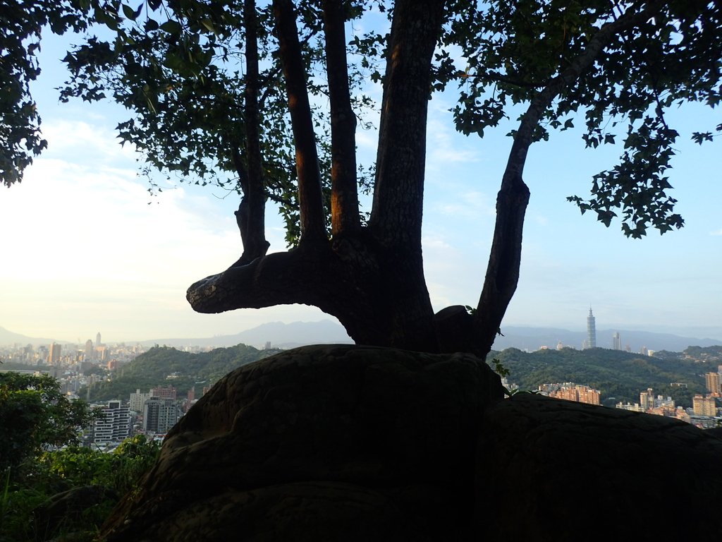 P9230036.JPG - 景美  仙跡岩親山步道