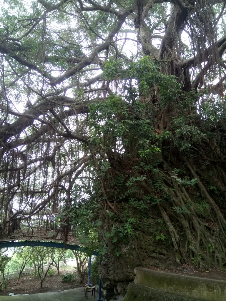 DSC_2126.JPG - 岡山  大崗山  超峰寺