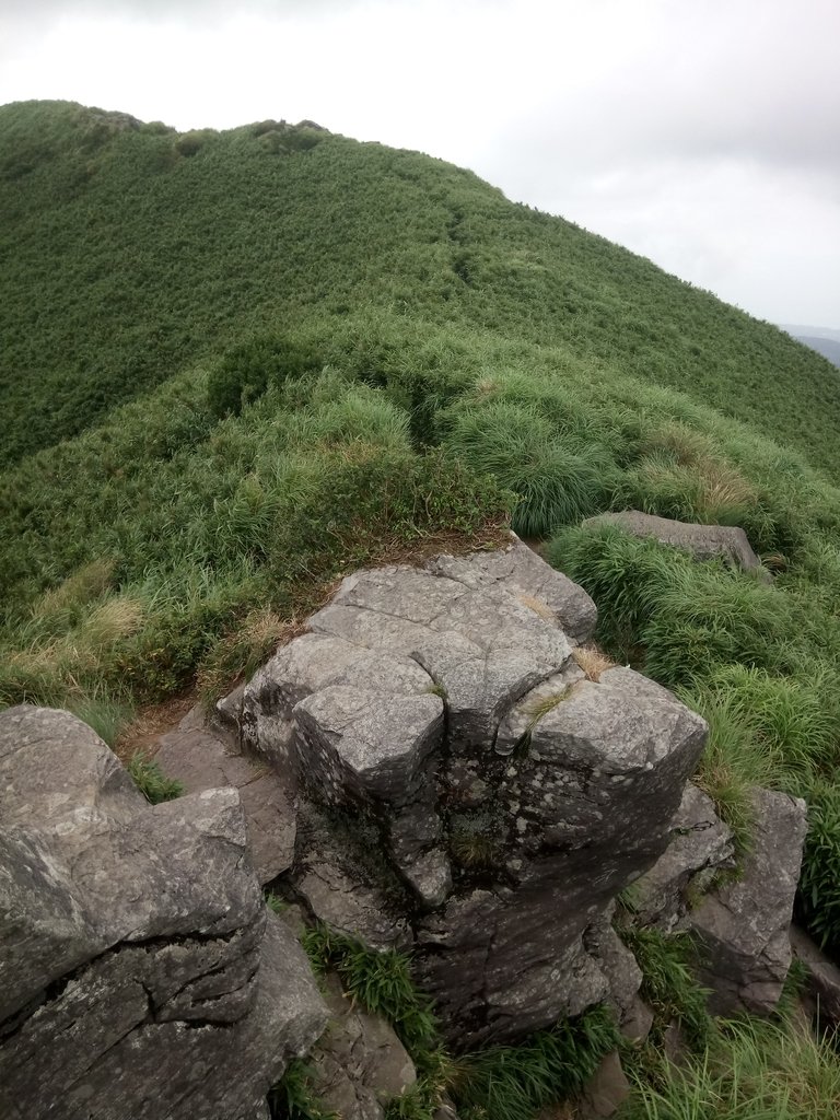 DSC_4527.JPG - 小觀音山  西峰登山步道