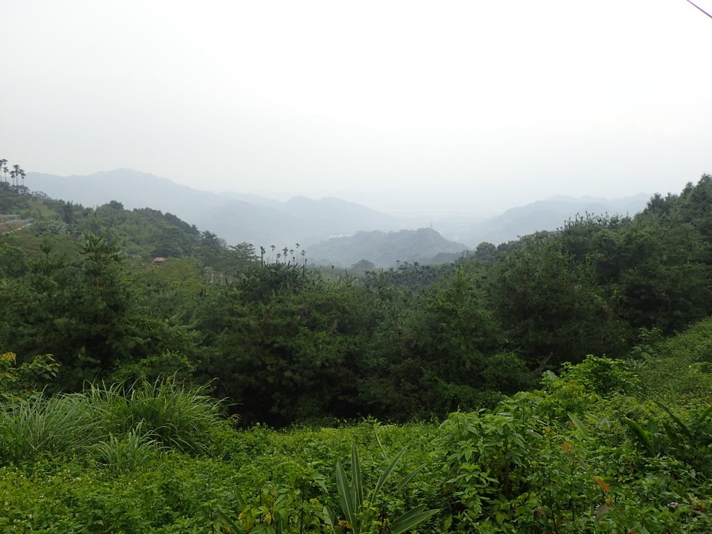 PA171429.JPG - 鹿谷  麒麟潭之  雨中即景