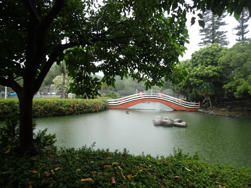 PB074477.JPG - 台南  成功大學  校園掠影