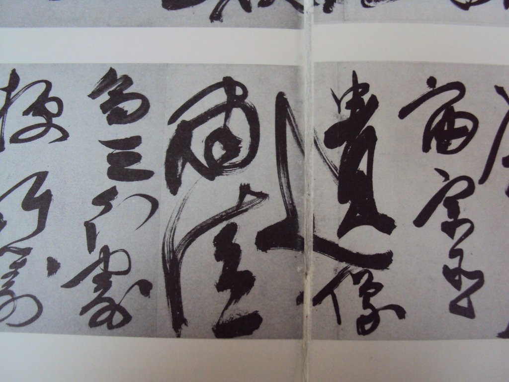 DSC00236.JPG - 陳淳的草書作品