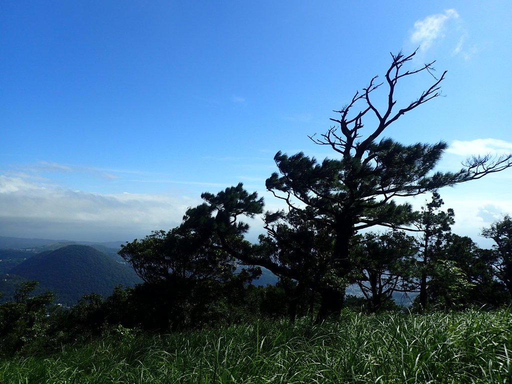 PB247182.JPG - 北投  中正山登山步道  02