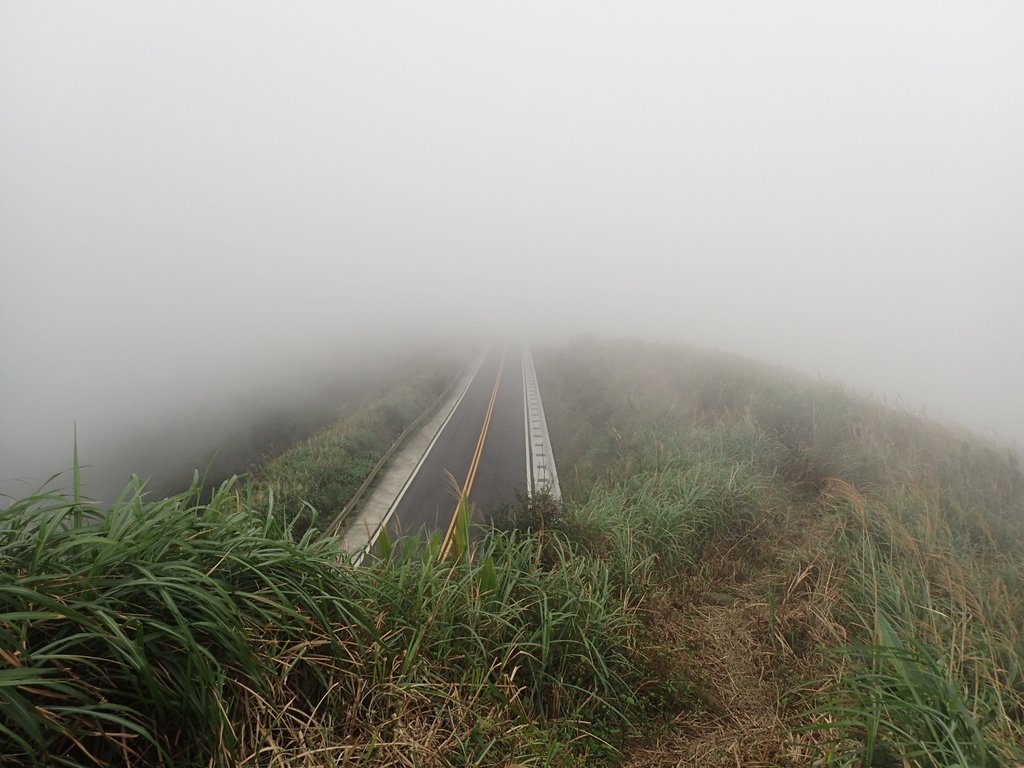 P1203521.JPG - 瑞芳  牡丹山